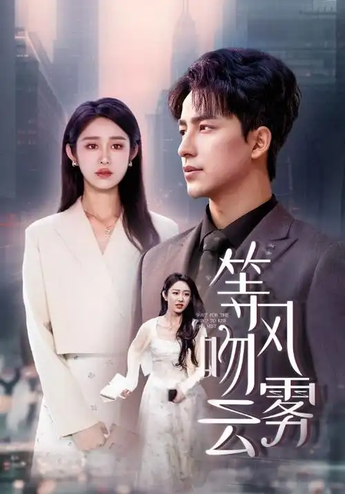 大师兄影视热播悬疑剧集第七个证人海报